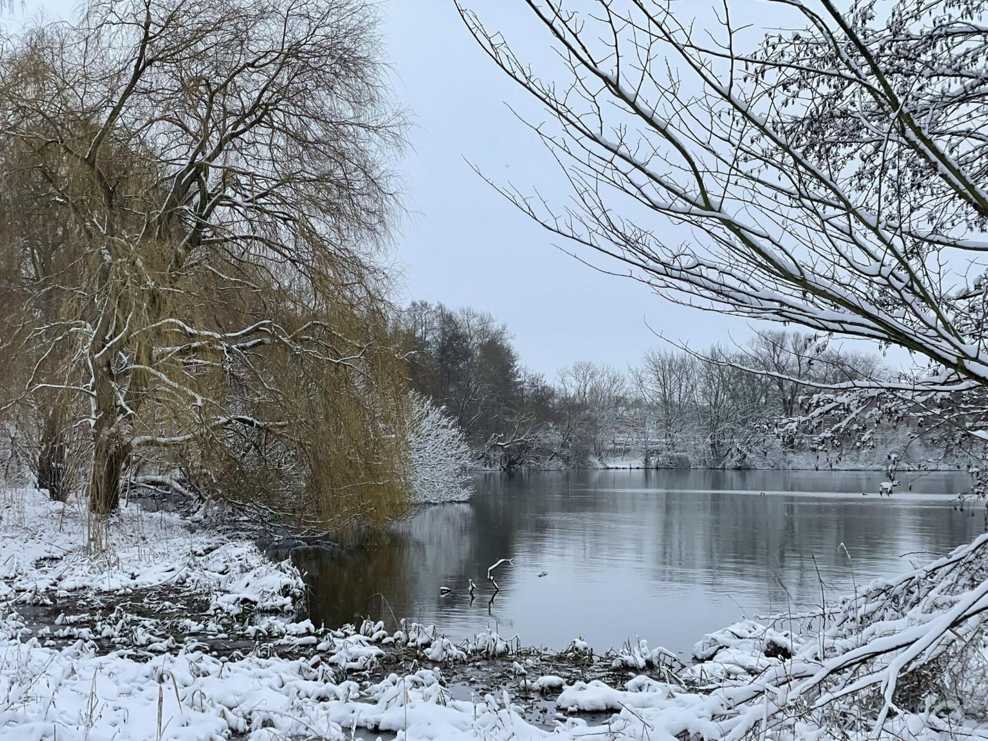 Flat In Eutin On The Kleiner Eutiner See Lake Apartment Bagian luar foto