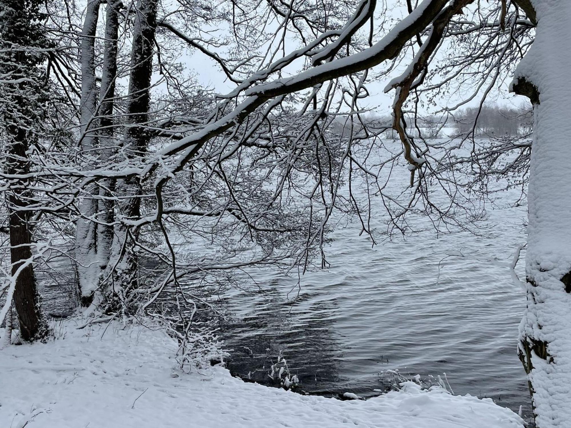 Flat In Eutin On The Kleiner Eutiner See Lake Apartment Bagian luar foto