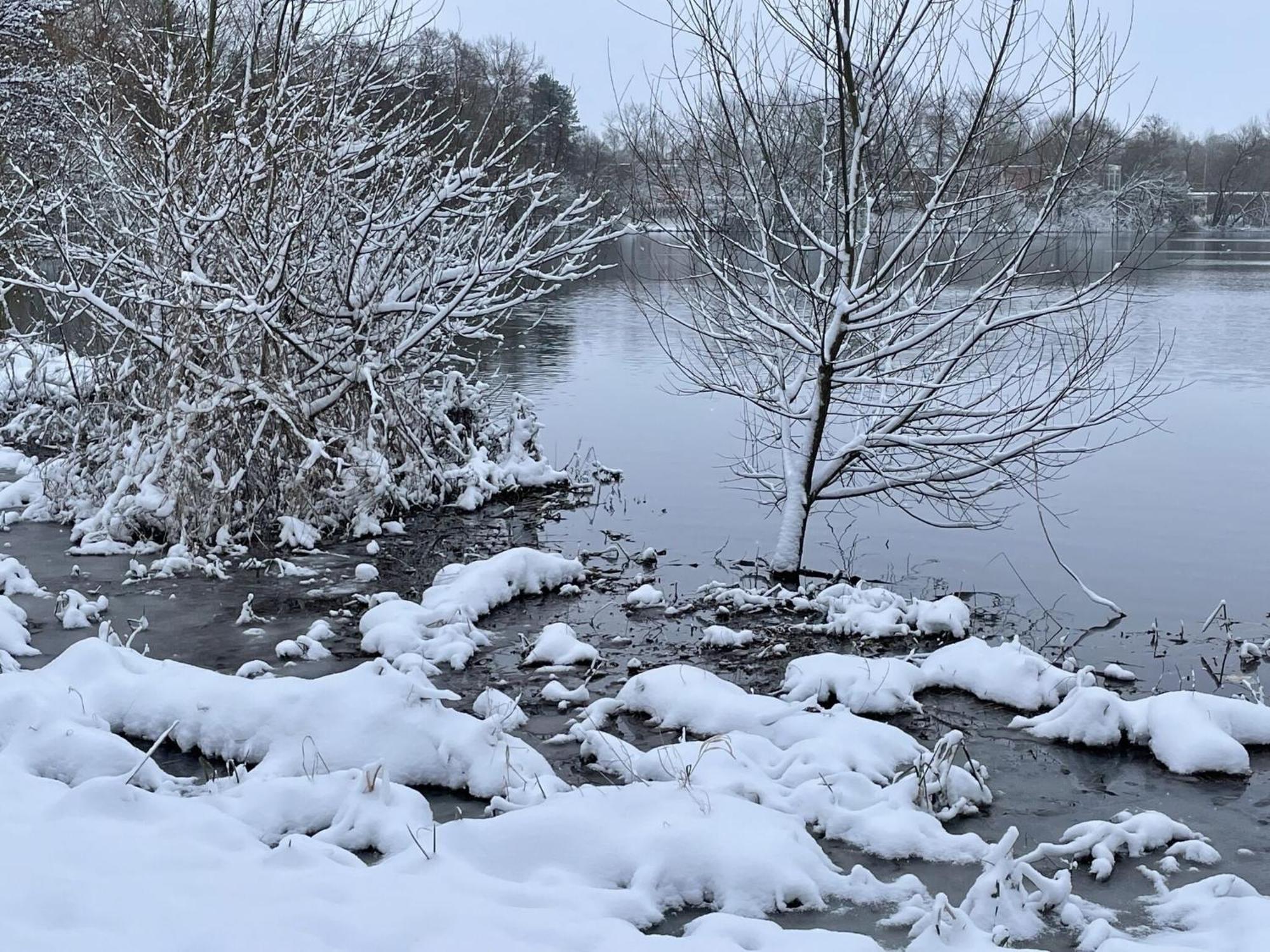 Flat In Eutin On The Kleiner Eutiner See Lake Apartment Bagian luar foto