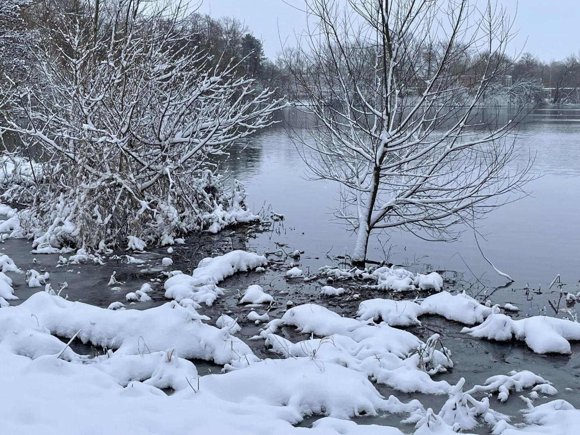 Flat In Eutin On The Kleiner Eutiner See Lake Bagian luar foto