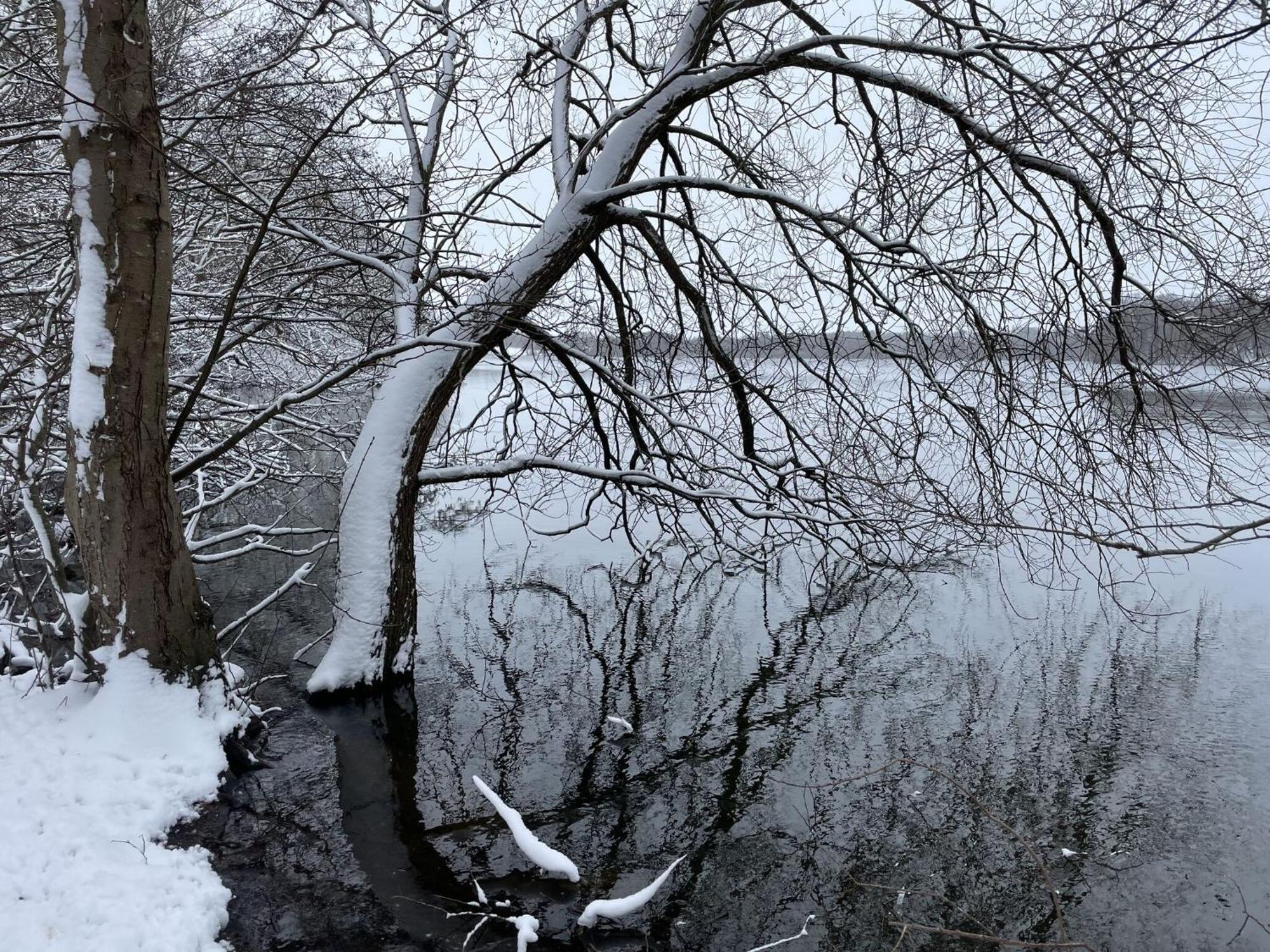 Flat In Eutin On The Kleiner Eutiner See Lake Apartment Bagian luar foto