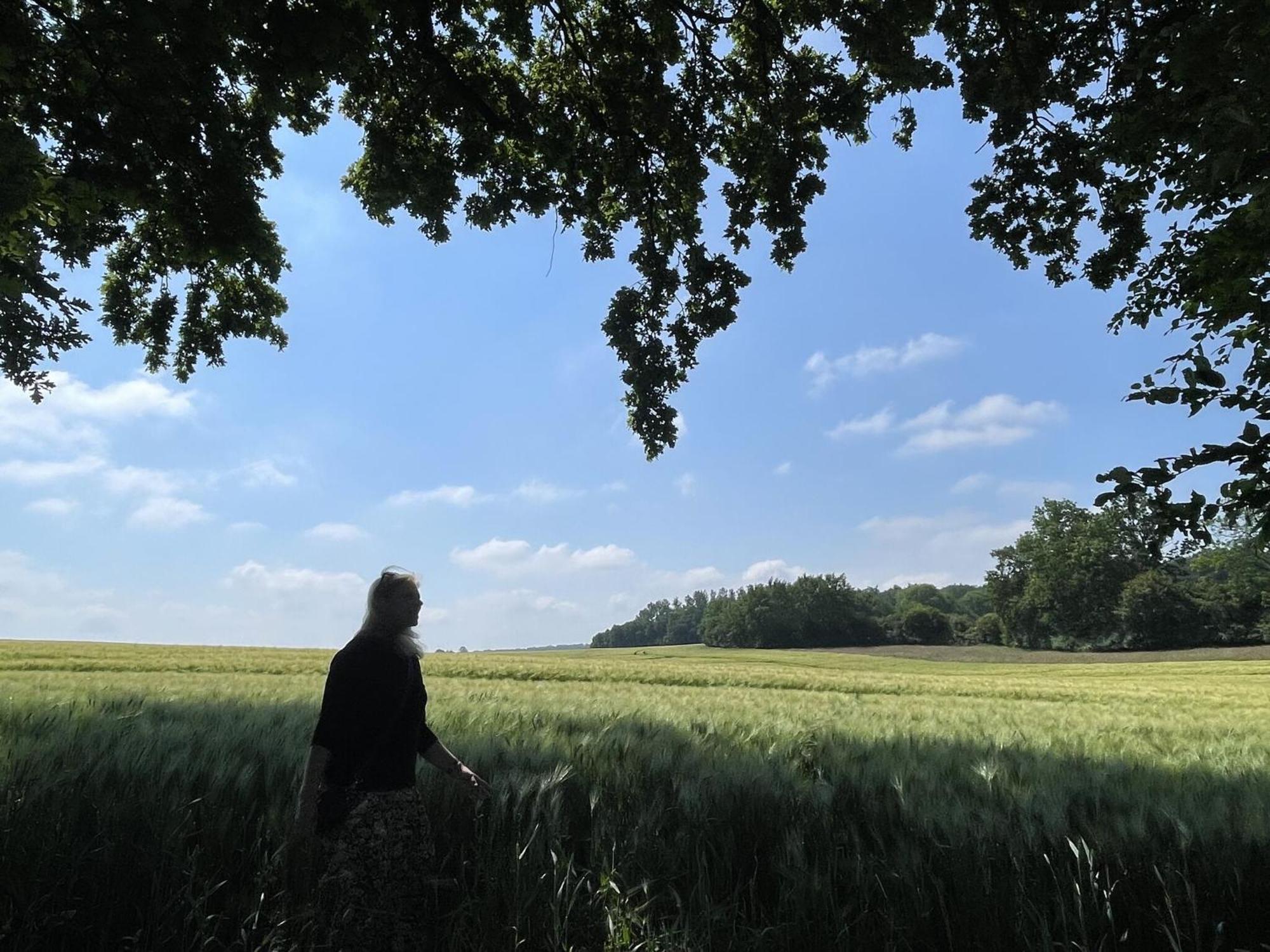 Flat In Eutin On The Kleiner Eutiner See Lake Bagian luar foto