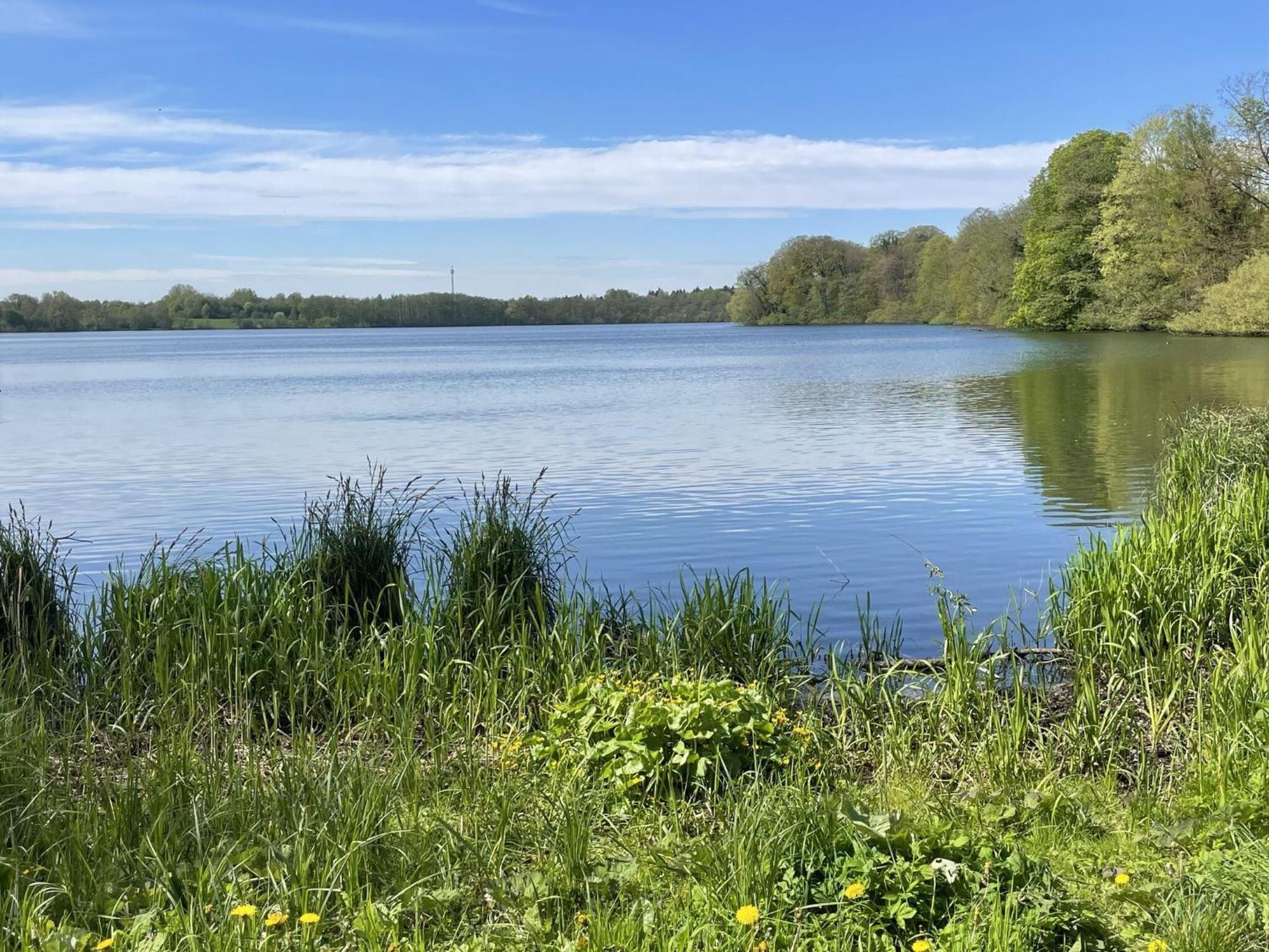 Flat In Eutin On The Kleiner Eutiner See Lake Apartment Bagian luar foto