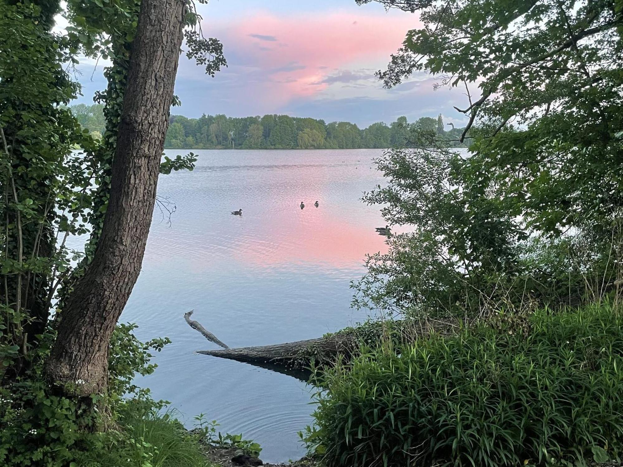 Flat In Eutin On The Kleiner Eutiner See Lake Bagian luar foto